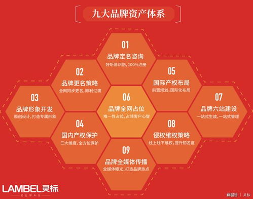 青青國際攜手國際品牌管理機構，為參展企業注入全球品牌新動力
